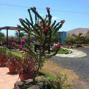 Soleario La Oliva